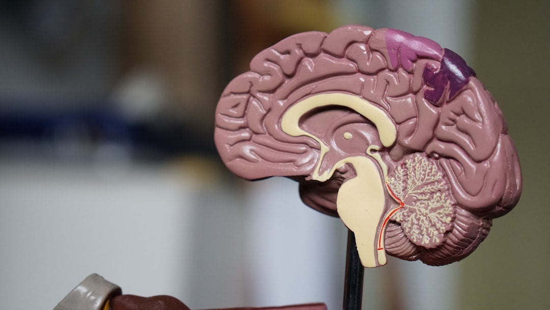 Sugar and Cognitive Decline: Tips to Maintain Mental Sharpness and Emotional Balance